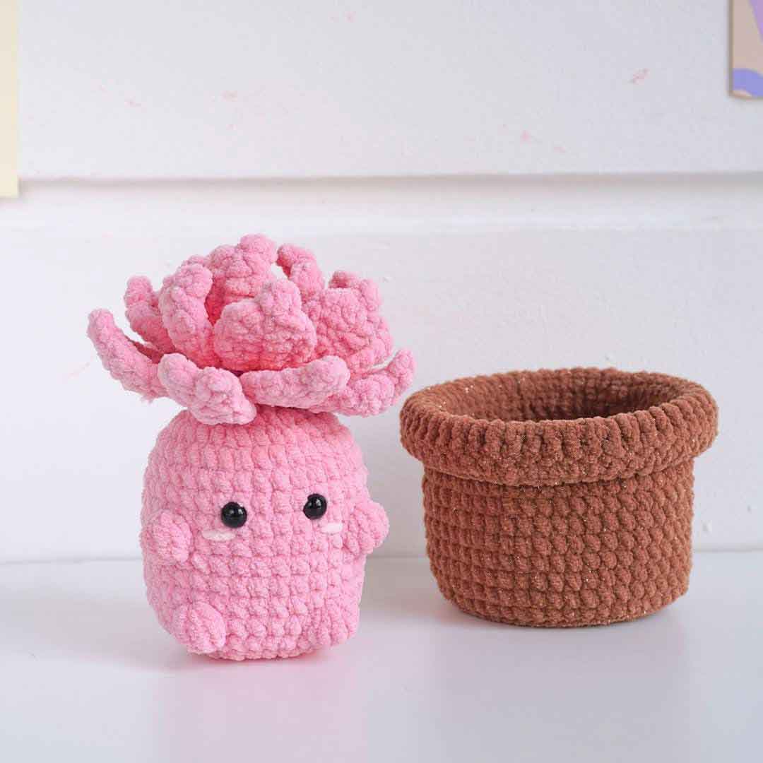 Baby Pink Echeveria Crochet Pattern