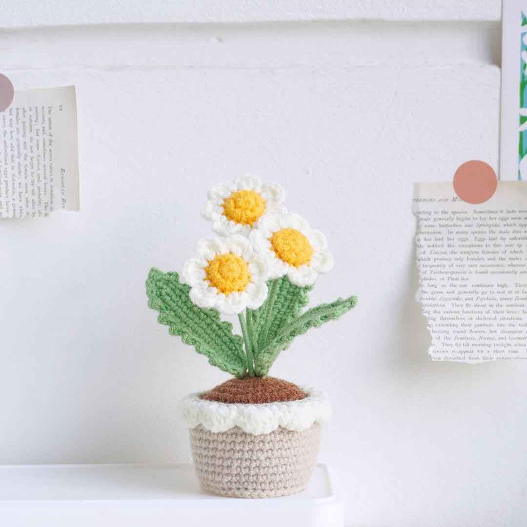 Blooming Daisy Pot Crochet Pattern