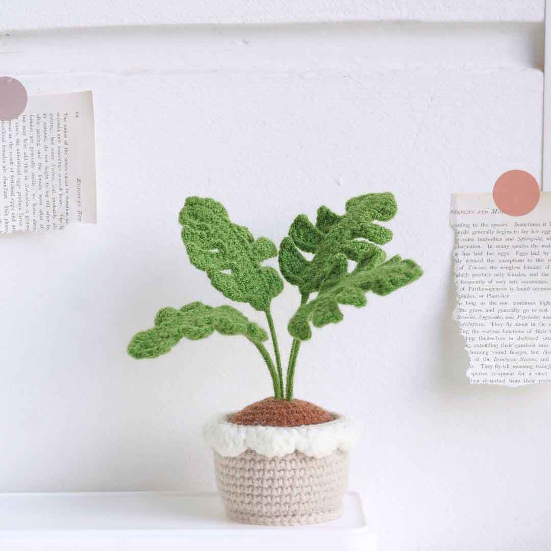 Monstera Pot Crochet Pattern