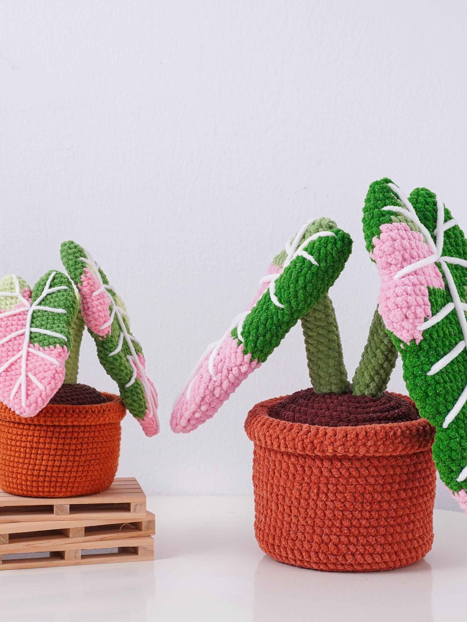 Fluffy Alocasia Frydek Pot Crochet Pattern