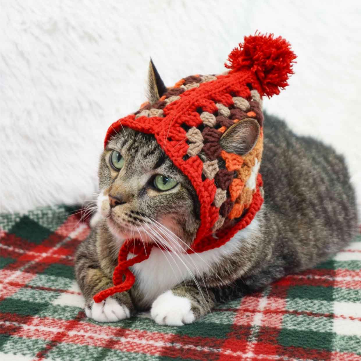 Granny Square Cat Hat Crochet Pattern - Handmade Cat Accessory, DIY Crochet Tutorial