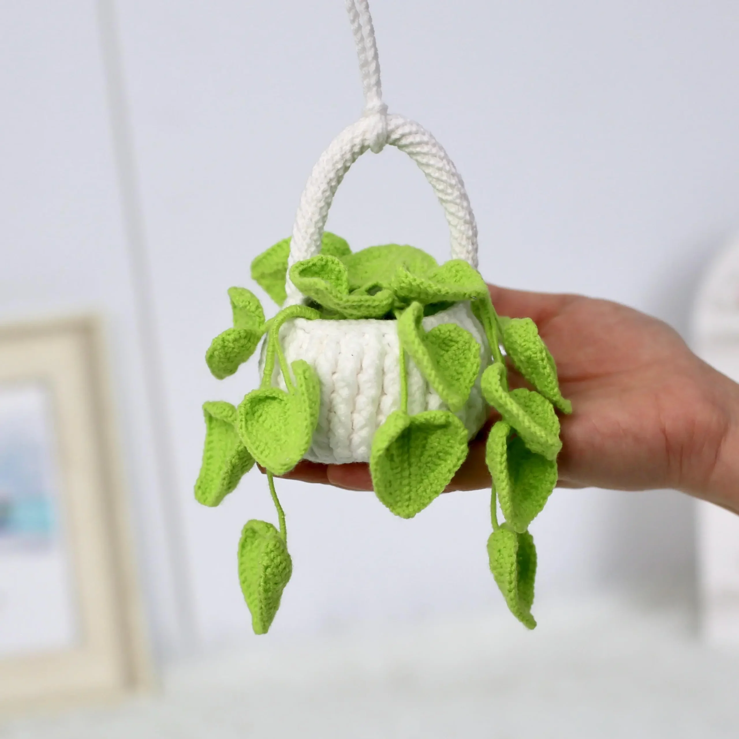 Hanging Plant