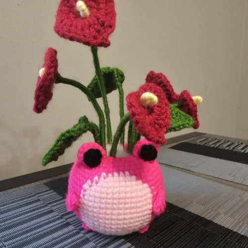 Froggy Duo Pots Frog Crochet Pattern Bundle photo review