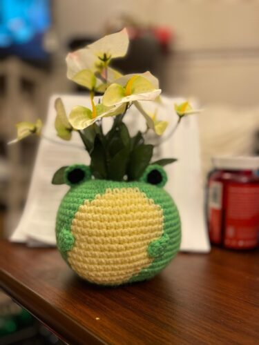 Froggy Duo Pots Frog Crochet Pattern Bundle photo review